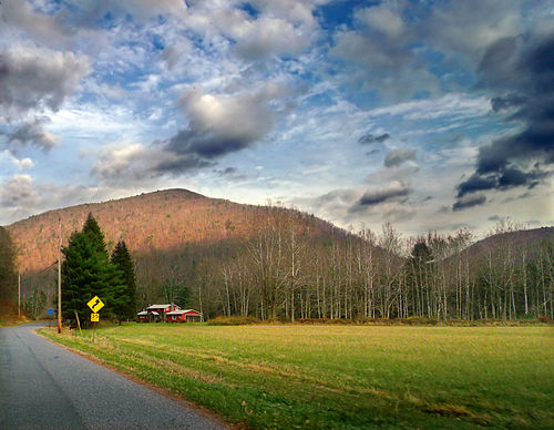 Pine Township, Lycoming County, Pennsylvania